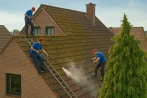 Roof moss removal in Québec G0A 1H0 and gutter maintenance