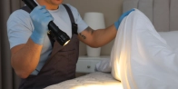 Bed Bug Treatment in Laval H7A 0A2