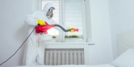 Bed Bug Treatment in Gatineau J8L 0A2