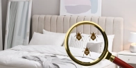 Bed Bug Treatment in Montréal H1A 0A2